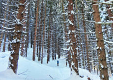 La Guida - Gennaio con tanta neve in montagna:  +200% sulle valli Maira, Varaita e Po