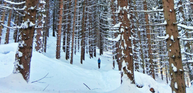 La Guida - Gennaio con tanta neve in montagna:  +200% sulle valli Maira, Varaita e Po