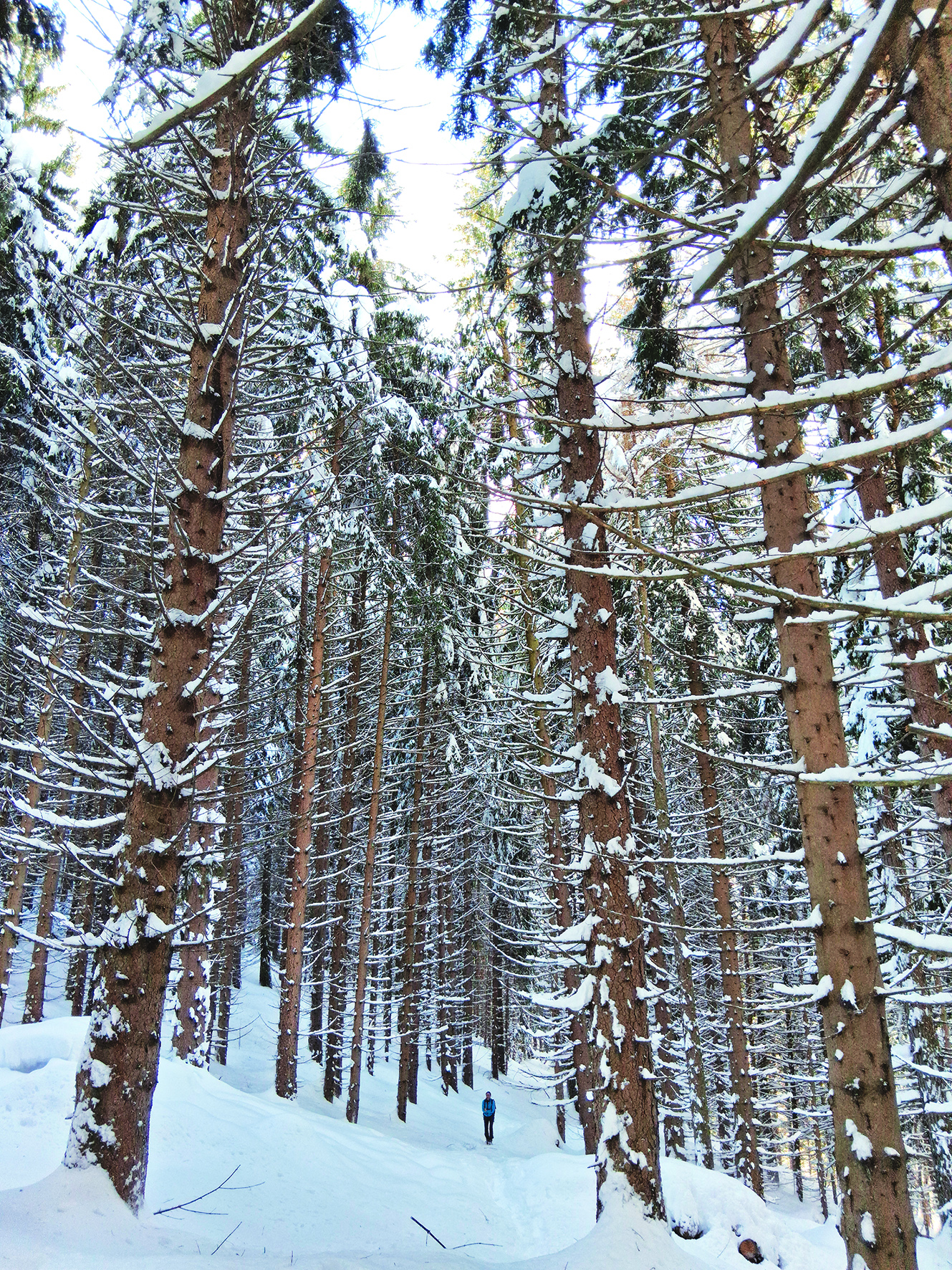 Colletto della Lausa, sopra Entracque