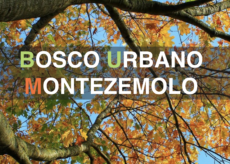 La Guida - L’ex caserma diventa Bum, il Bosco urbano Montezemolo