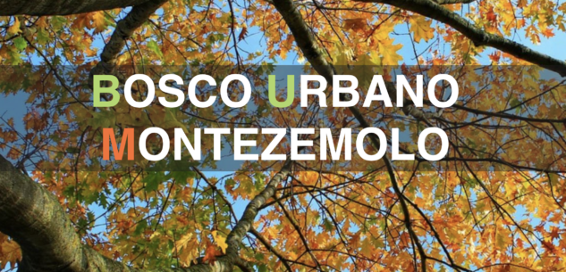 La Guida - L’ex caserma diventa Bum, il Bosco urbano Montezemolo