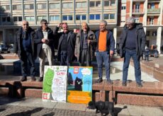 La Guida - Piazza Europa: “Vogliono montare il cantiere domenica sera, presidio permanente in difesa dei cedri”