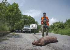 La Guida - “Lupi nostri”, il film con le Alpi Marittime e il ricordo di Mauro Fissore