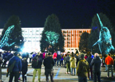 La Guida - I cedri di piazza Europa possono essere prova di una nuova prassi amministrativa