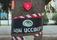 La Guida - In trecento in piazza già da oggi per fermare l’abbattimento dei cedri (video)