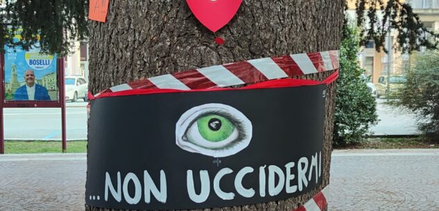 La Guida - In trecento in piazza già da oggi per fermare l’abbattimento dei cedri (video)