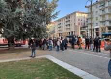 La Guida - “È tempo di nidificazione: i cedri non si possono abbattere!”