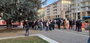 La Guida - “È tempo di nidificazione: i cedri non si possono abbattere!”