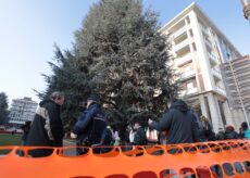 La Guida - “Non è vero che siamo per l’immobilismo e che la riqualificazizone della piazza renderebbe i cedri instabili”