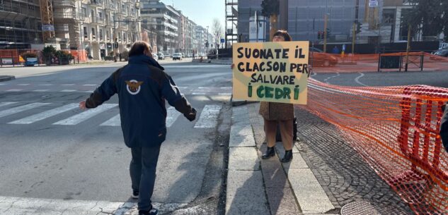 La Guida - “Suonate il clacson per salvare i cedri” (video)