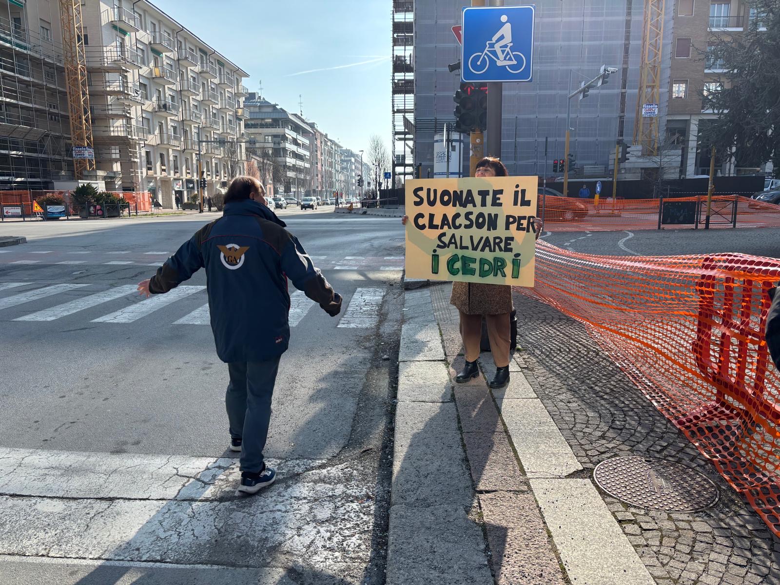 “Suonate il clacson per salvare i cedri” (video)