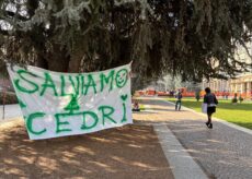 La Guida - Piazza Europa, le associazioni ambientaliste cuneesi scrivono alla presidente del Consiglio