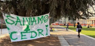 La Guida - Piazza Europa, le associazioni ambientaliste cuneesi scrivono alla presidente del Consiglio