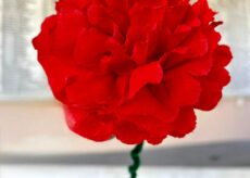 La Guida - A Boves il progetto “Fiori di speranza per la Pace”
