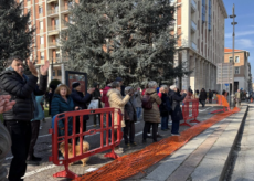 La Guida - Piazza Europa, il cantiere resta fermo: a decidere il destino dei cedri sarà il Consiglio di Stato il 5 marzo