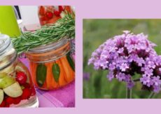 La Guida - Tecniche di fermentazione per verdure, per il proprio benessere