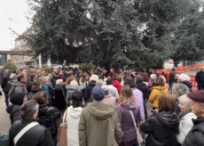 La Guida - Balli e una canzone dedicata ai cedri di piazza Europa (video)