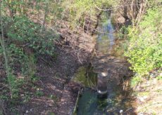 La Guida - Oltre 400 bustine di veleno per topi sulle rive di un canale a Centallo