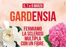 La Guida - Gardenie e ortensie per sconfiggere la sclerosi multipla