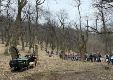 La Guida - Tecnologie per una corretta gestione del castagneto del futuro