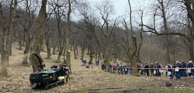 La Guida - Tecnologie per una corretta gestione del castagneto del futuro