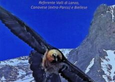 La Guida - Alla scoperta del gipeto