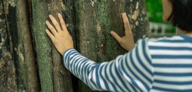 La Guida - Aperte le iscrizioni al “bagno di foresta” nei boschi di Staffarda
