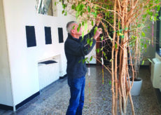 La Guida - “STAnza DI MEditazione” di Domenico Olivero