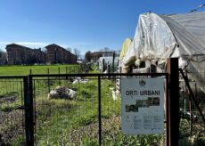 La Guida - Orti urbani a Saluzzo, bando del Comune