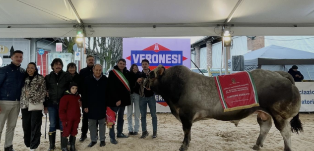 La Guida - Da Caraglio e Crissolo i vincitori delle mostre provinciali di bovini a Fossano