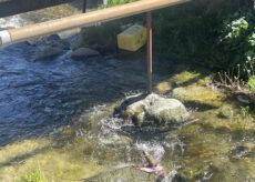 La Guida - Anche una strada chiusa al traffico per il vento della notte scorsa a Paesana