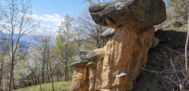 La Guida - La riserva dei Ciciu del Villar riapre con una nuova gestione