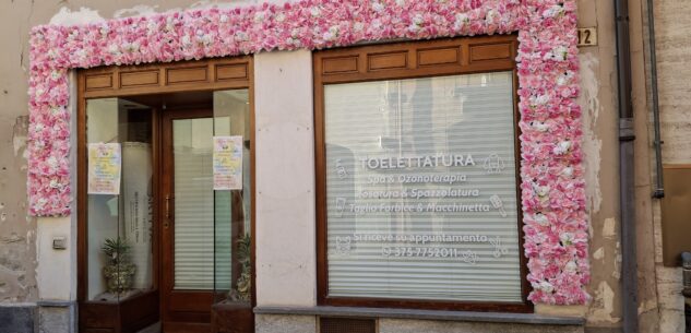 La Guida - A Boves un servizio di toelettatura animali