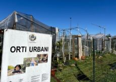 La Guida - Saluzzo, si sorteggiano gli orti urbani