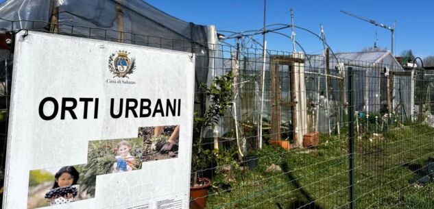 La Guida - Saluzzo, si sorteggiano gli orti urbani