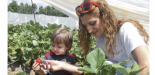 La Guida - Uno speciale dedicato all’agricoltura, tra cura, tradizione e innovazione