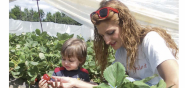 La Guida - Uno speciale dedicato all’agricoltura, tra cura, tradizione e innovazione
