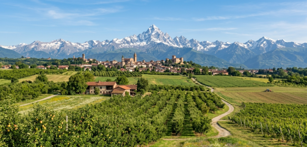 La Guida - La Provincia di Cuneo mette all’asta dei terreni nel comune di Saluzzo