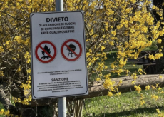 La Guida - Divieto di accensione fuochi al parco Paolo Lusso alle Basse Stura