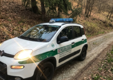La Guida - Sequestrati lacci di cattura nei boschi di Castino