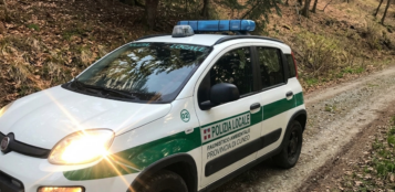 La Guida - Sequestrati lacci di cattura nei boschi di Castino