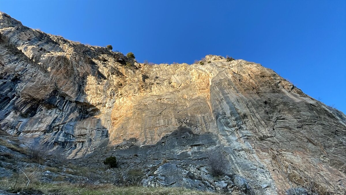 La falesia di Andonno chiude per la nidificazione del falco pellegrino