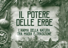 La Guida - Erbe per curarsi