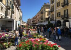 La Guida - Con Cuneo in fiore il centro della città si veste di primavera