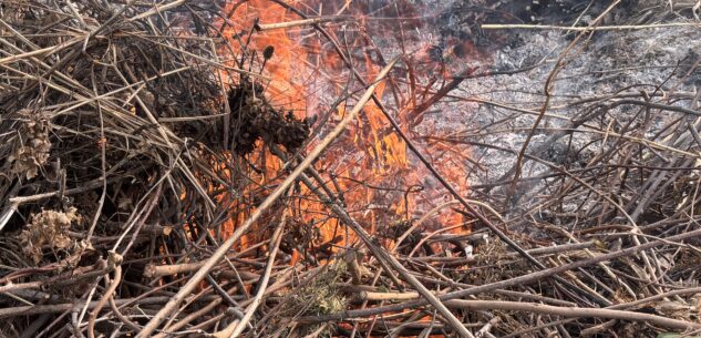 La Guida - Bruciare i residui vegetali dell’inverno, ora è possibile