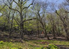 La Guida - Spegnimento di un incendio sulla collina bovesana