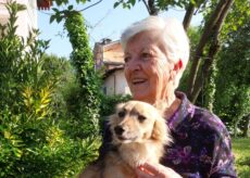 La Guida - La scomparsa di Amalia Pepino