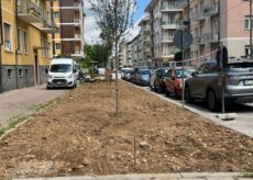 La Guida - Cuneo, si piantumano nuovi alberi in via Bersezio