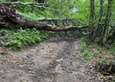 La Guida - Strada agro-silvo-pastorale a Pian dei Lupi di Paesana, un blocco che sfida la sicurezza