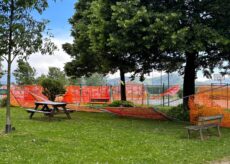La Guida - Vento forte, rami e alberi: problemi per il traffico intorno a Cuneo